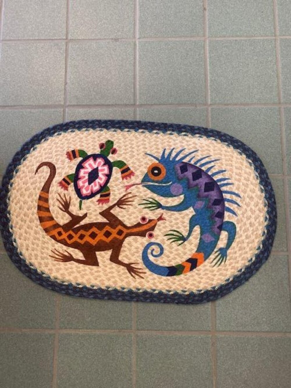 Southwest Desert Dwellers 20 x 30 Accent rug